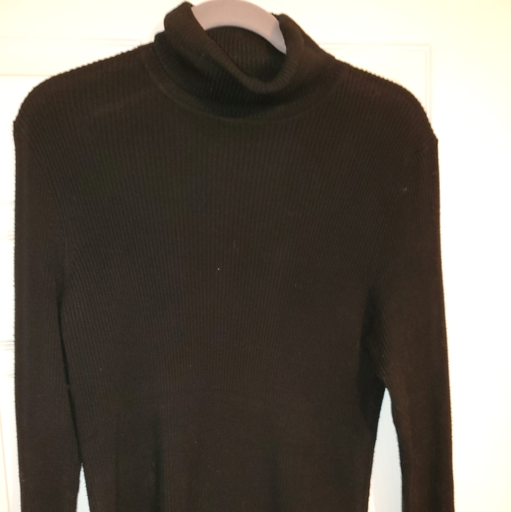 Curious Black Ribbed Turtle Neck